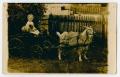 Photograph: [Photograph of Little Boy on a Goat Cart]
