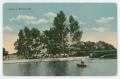 Postcard: [Postcard from Lillian to Mrs. Albert Schaenemann, August 9, 1917]