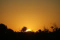 Thumbnail image of item number 1 in: 'Sunset South of Paris,Texas'.