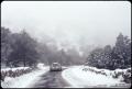 Photograph: [Snow Scene in Chisos Basin]