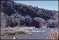 Photograph: [Guadalupe River Along River Road]