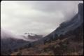Photograph: [Frost and Fog at Chisos Basin]