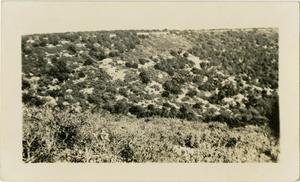 Primary view of object titled '[Hillside Photograph]'.