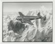 Photograph: [Painting of The Texan in Flight]
