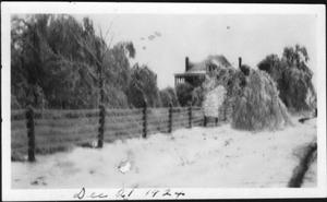 Primary view of [Ice covered fence and trees in front of the J.H.P. Davis house]