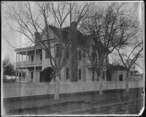 Primary view of object titled '[Trees in front of the J.H.P. Davis house]'.