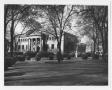 Photograph: [Carnegie Library Lawn View]