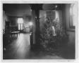 Photograph: [Carnegie Library Christmas Tree Room]