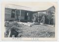 Photograph: [Photograph of Old Haker House and Dog]