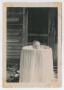 Photograph: [Photograph of Baby Cynthia Daniel in Bassinet]