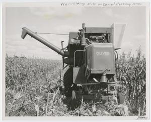 Primary view of object titled '[Photograph of Harvesting Machine in Milo Field]'.