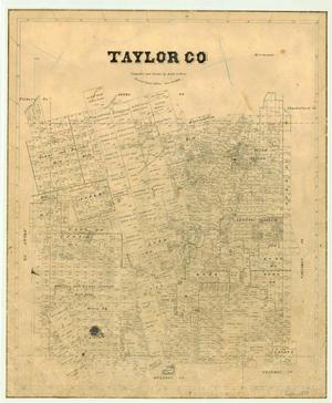 Primary view of object titled 'Taylor County'.