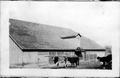 Thumbnail image of item number 1 in: '[Cattle in front of a barn at George Ranch]'.