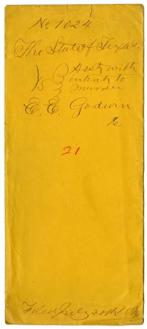 Primary view of object titled 'Documents pertaining to the case of The State of Texas vs. E. E. Godwin, cause no. 1024, 1874'.