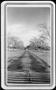 Photograph: [Photograph of the driveway that leads to the George Ranch house]