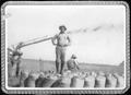 Photograph: [Man standing on rice sacks in a rice field at the George Ranch]
