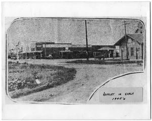 Primary view of object titled '[Haslet street and businesses]'.