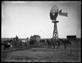 Photograph: [Livestock and Windmill]
