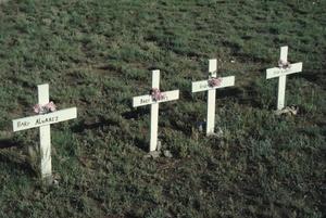 Primary view of object titled '[Carmona Cemetery]'.