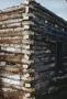 Photograph: [Ranch HQ, (onsite log crib, tagged logs, west crib)]